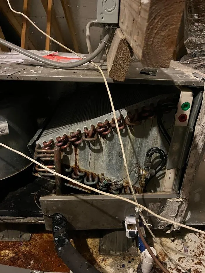 Slide of Critical Solutions