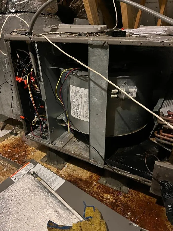 Slide of Critical Solutions