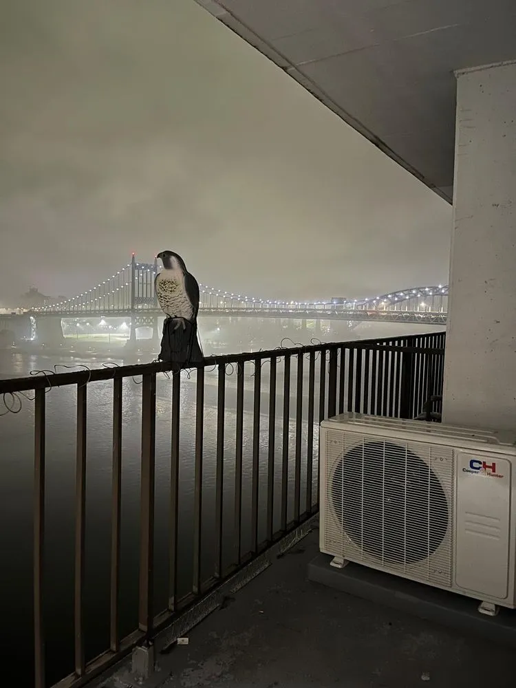 Slide of Cronos HVAC