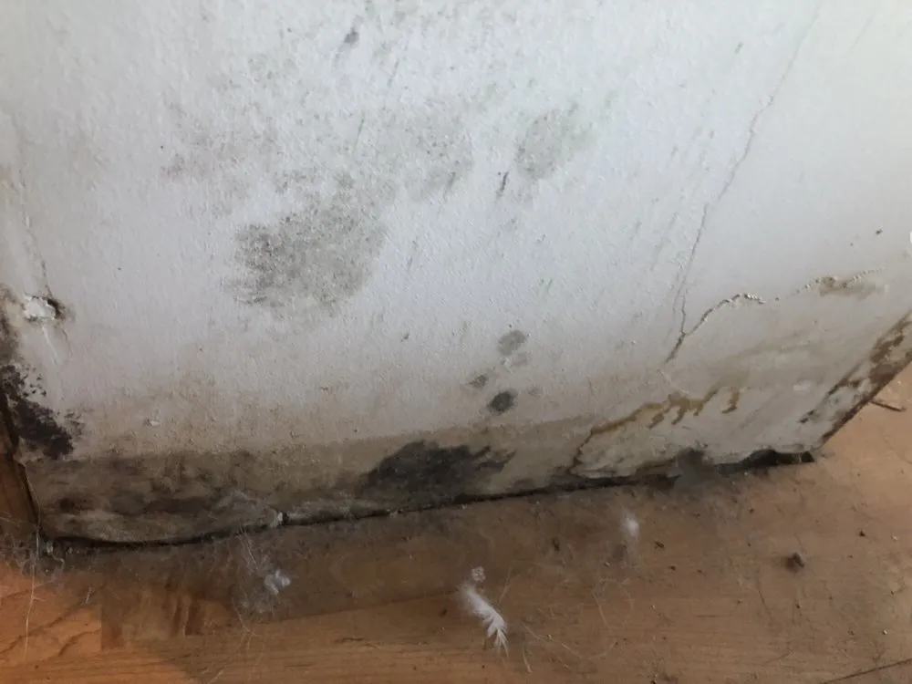 Slide of Crown Wheele HVAC