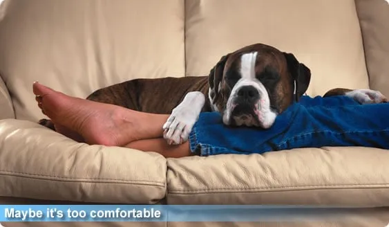 Slide of Crystal Air Mechanical