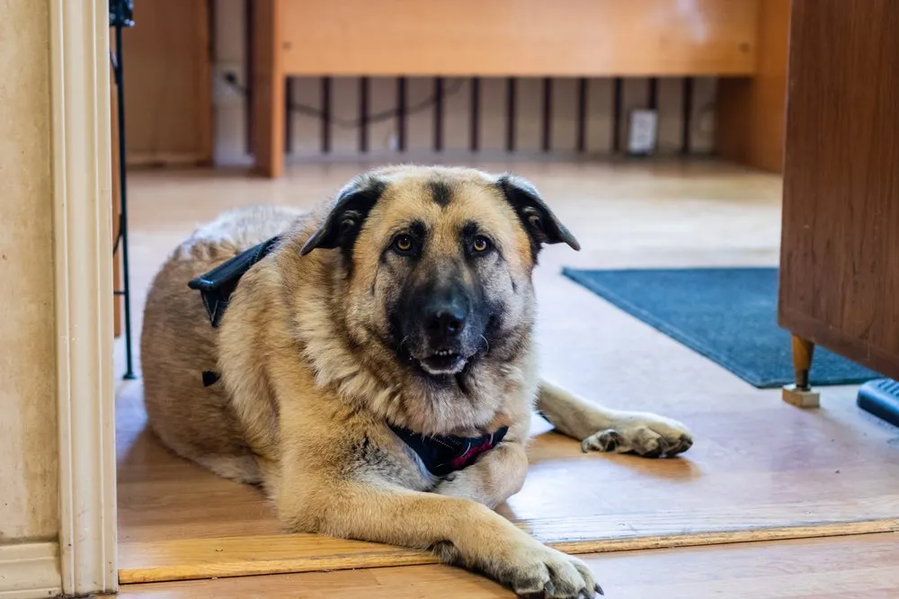 Slide of Crystal Air