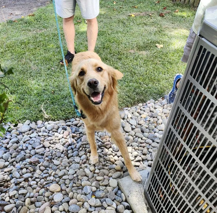 Slide of Crystal Coast Heating and Air