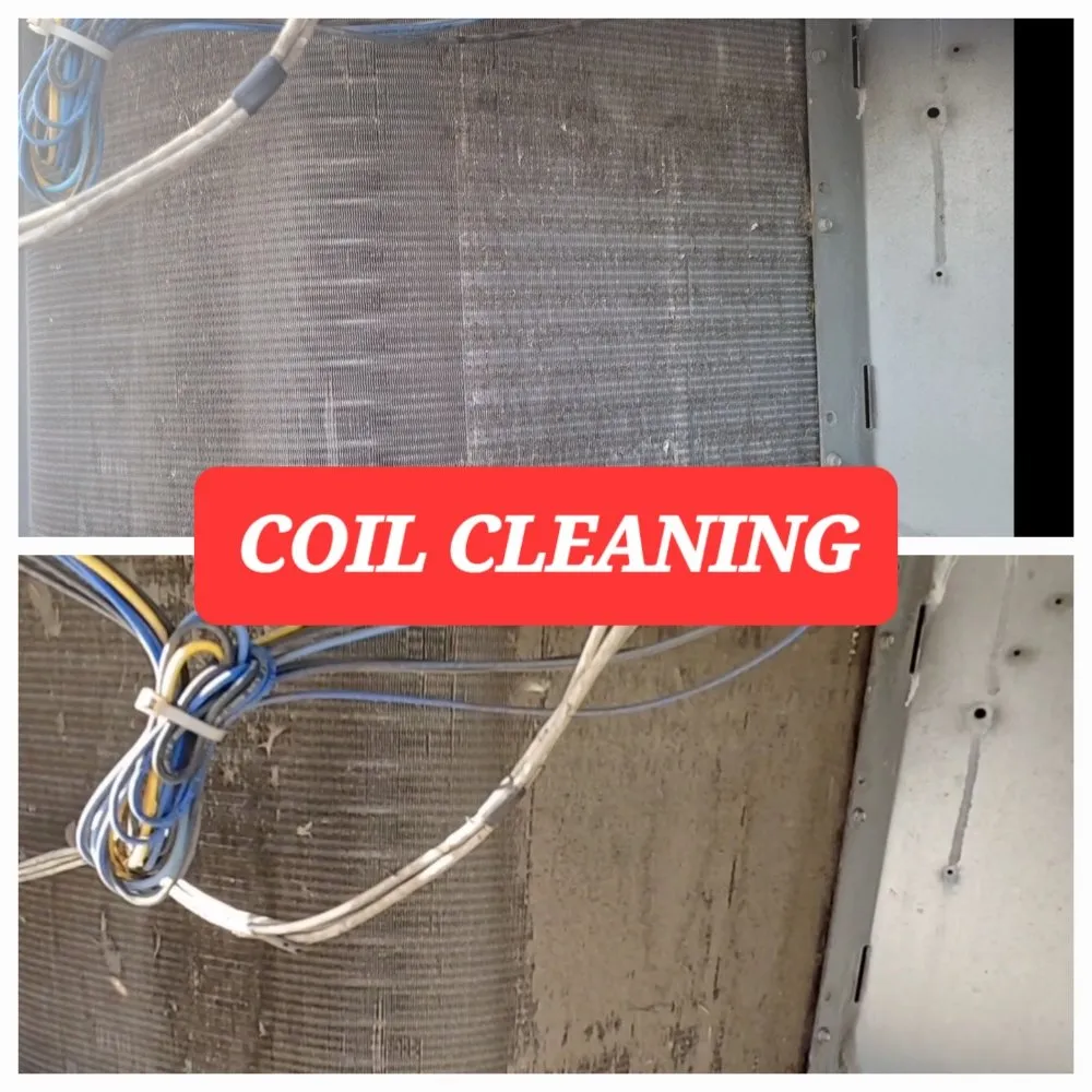 Slide of CSA Professional Services