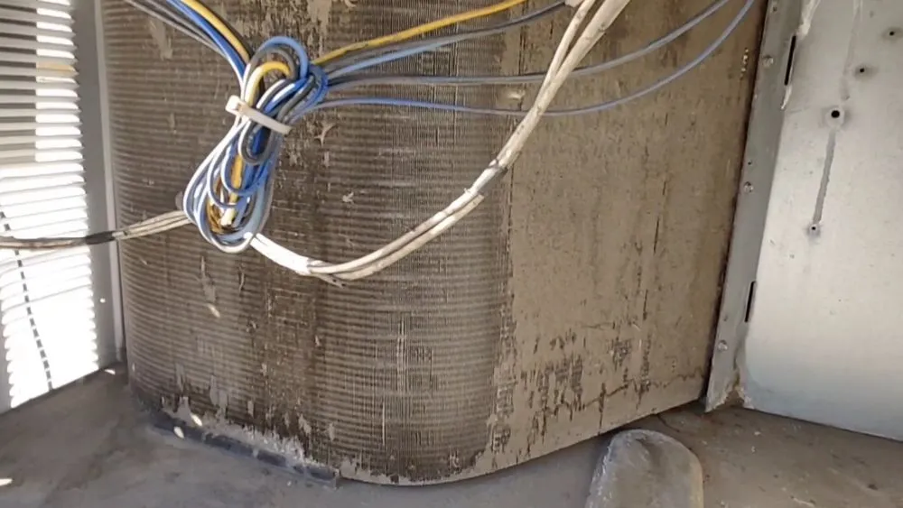 Slide of CSA Professional Services