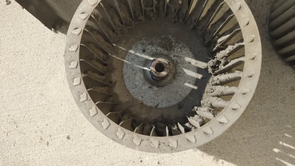 Slide of CSA Professional Services