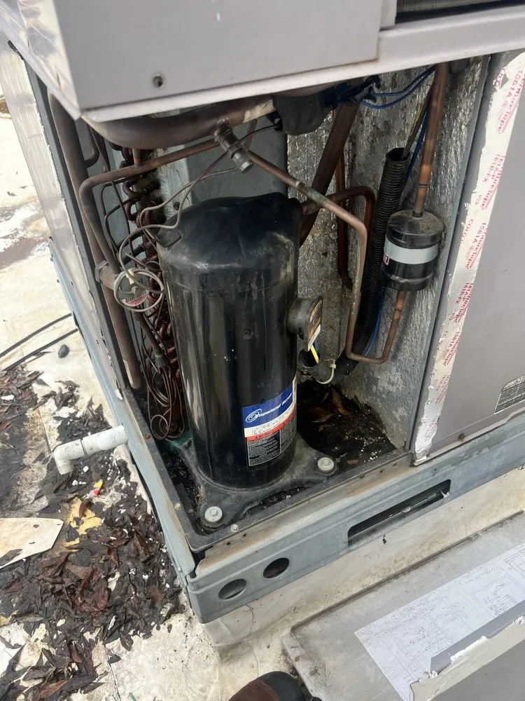 Slide of CTW Services