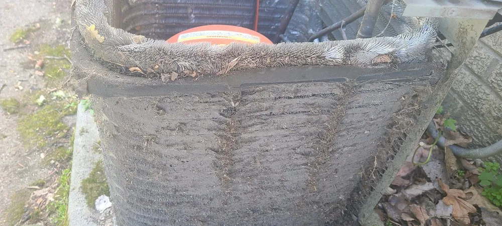 Slide of Culex Home Repair