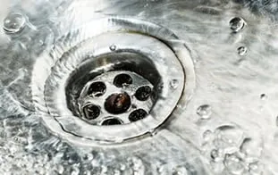 Slide of Cunningham Shanor