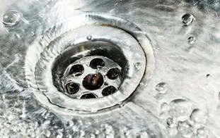 Slide of Cunningham Shanor