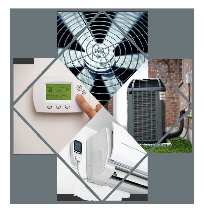 Slide of Cunningham Shanor