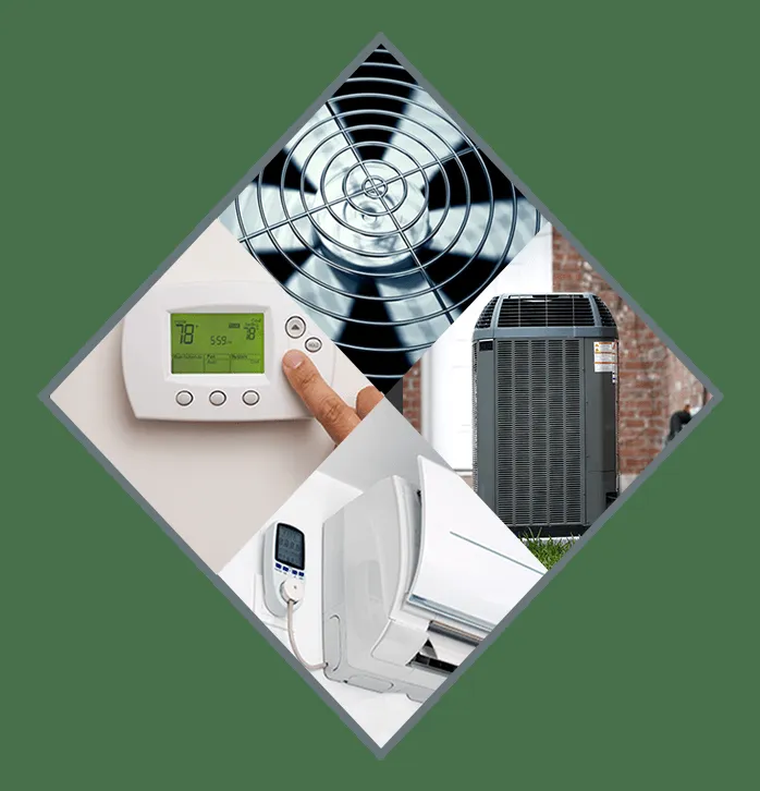 Slide of Cunningham Shanor