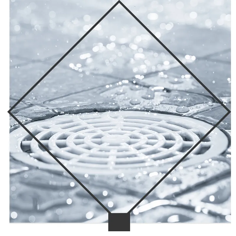 Slide of Cunningham Shanor