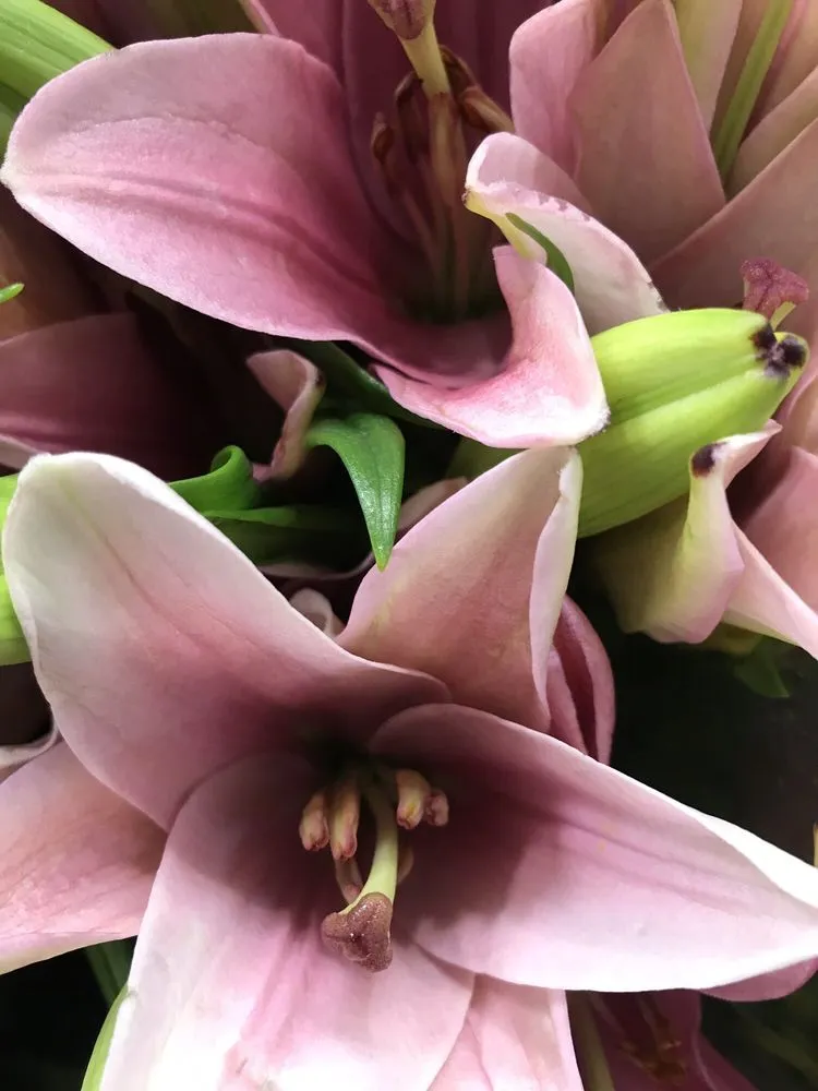 Slide of Currie Heating & Cooling