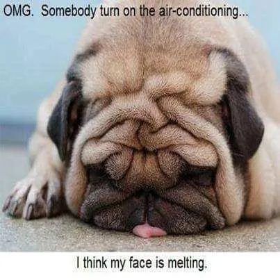 Slide of Custom Heating, Plumbing, & AC Repair Services