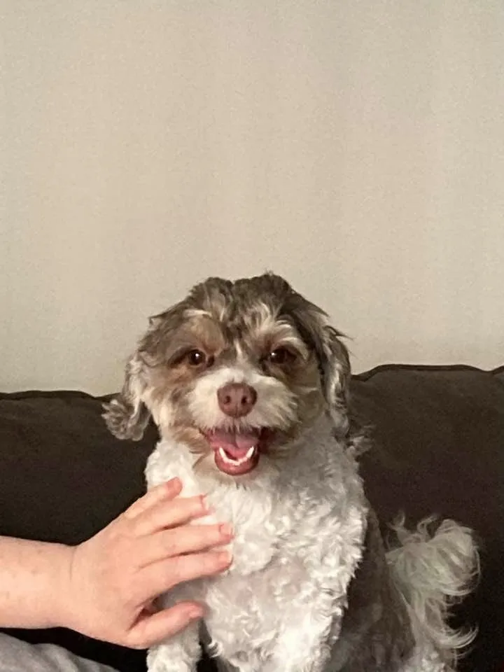 Slide of Custom Seasons Heating & Cooling