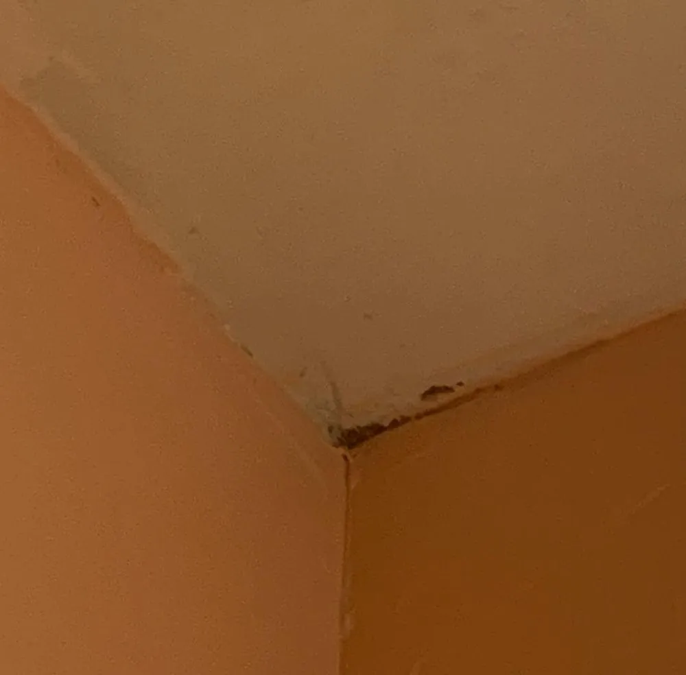 Slide of Custom Services Tulsa Heating Air and Plumbing