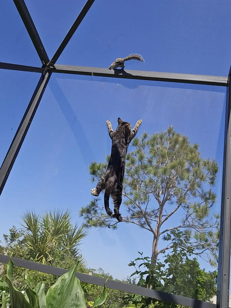 Slide of CV Plumbing Heating and Air