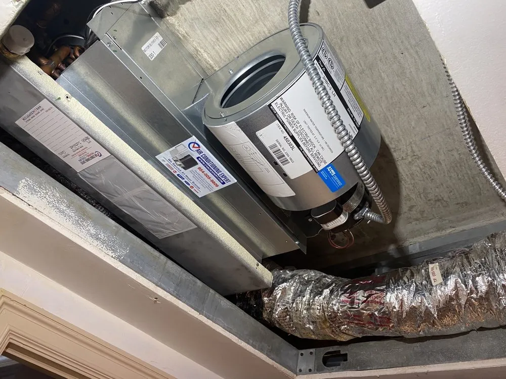 Slide of Cvac Expert