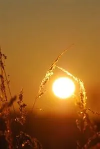 Slide of Cy-Fair Mechanical