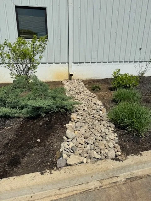 Slide of CYA Services