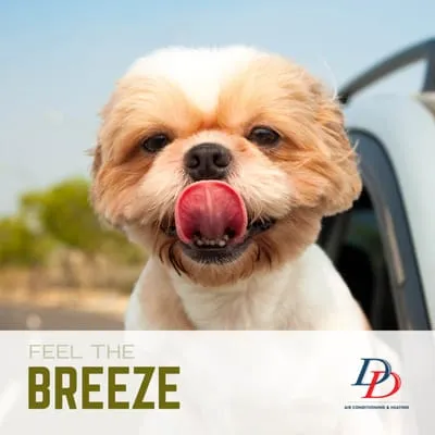 D & D Air Conditioning & Heating Inc Logo