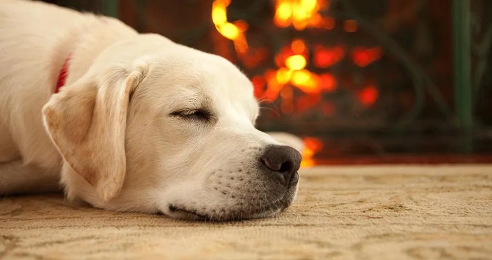 Slide of D & D Heating & Cooling