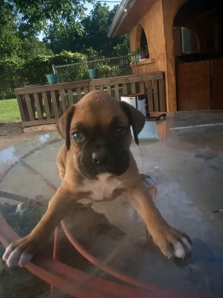 Slide of D & E Heating and Air