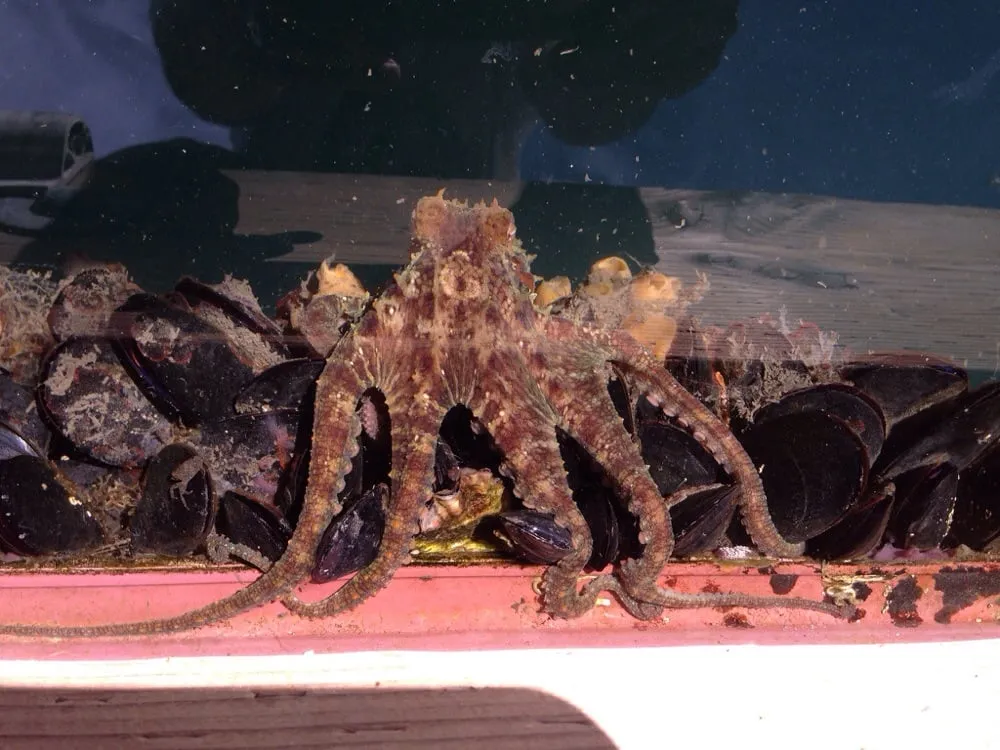 Slide of D & J Appliance Service