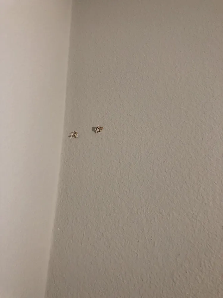 Slide of D Air Conditioning Company