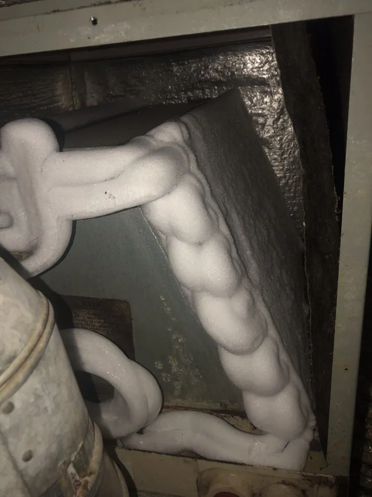 Slide of D-Vet Maintenance Services