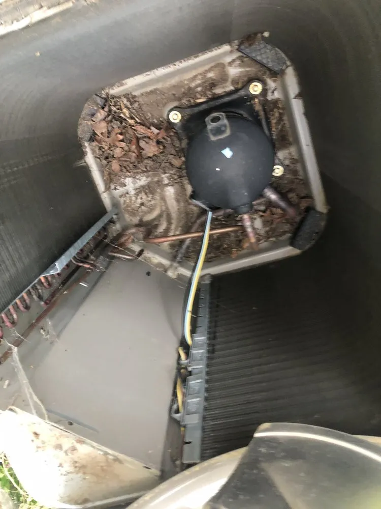 Slide of D-Vet Maintenance Services