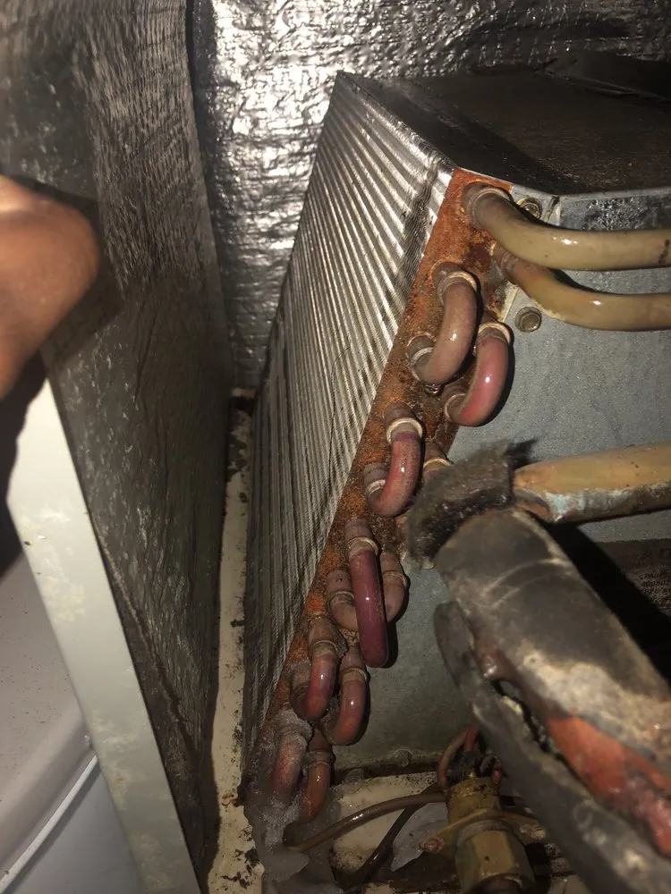 Slide of D-Vet Maintenance Services