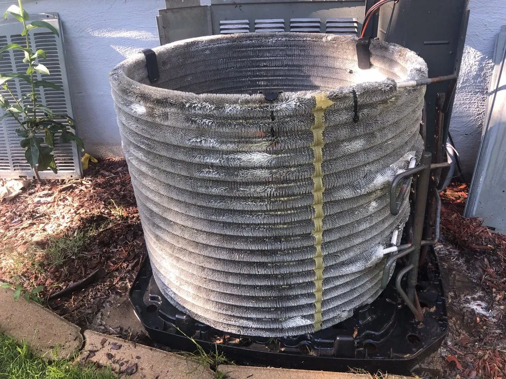 Slide of D-Vet Maintenance Services