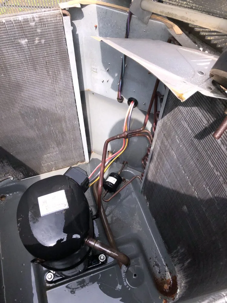 Slide of D-Vet Maintenance Services