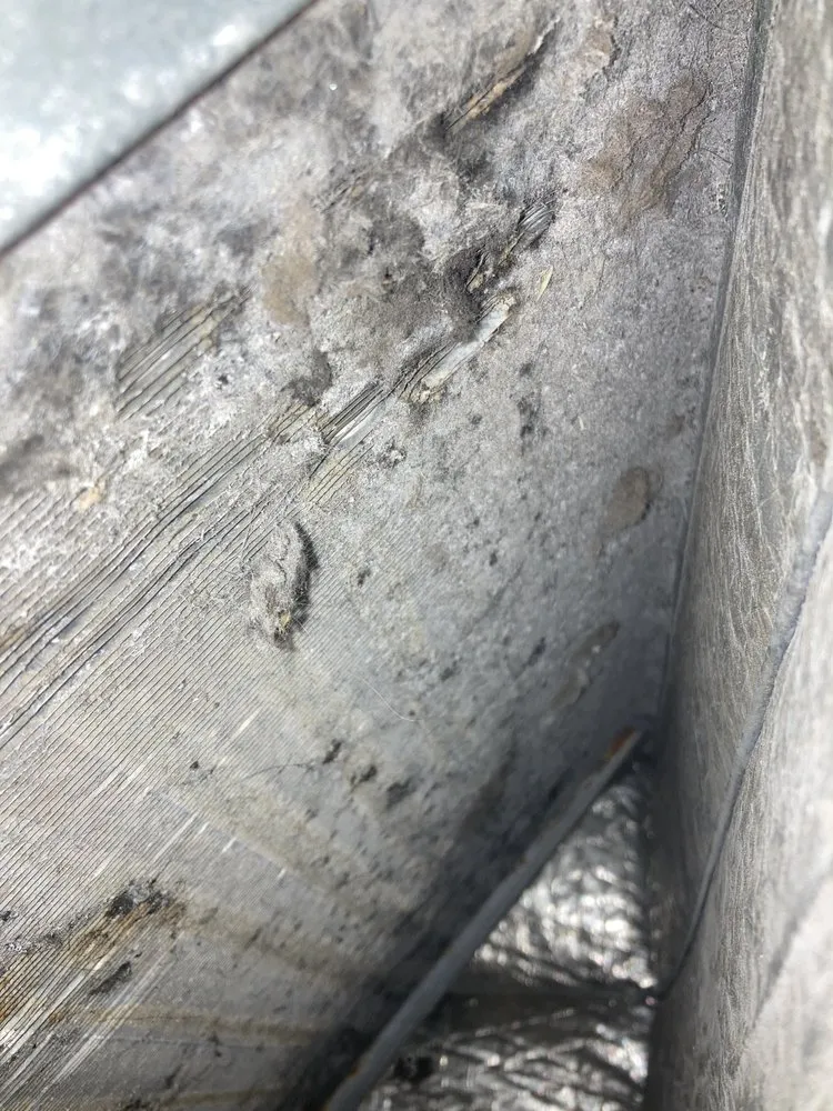 Slide of D1 HVAC & Mechanical