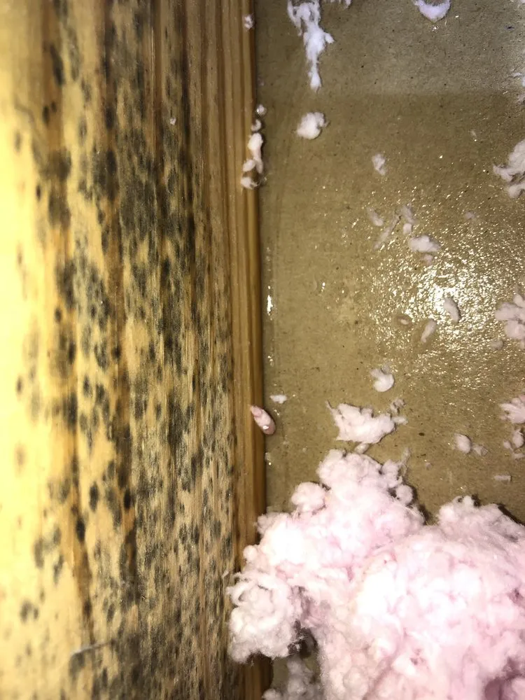 Slide of Dacus Heating & Air