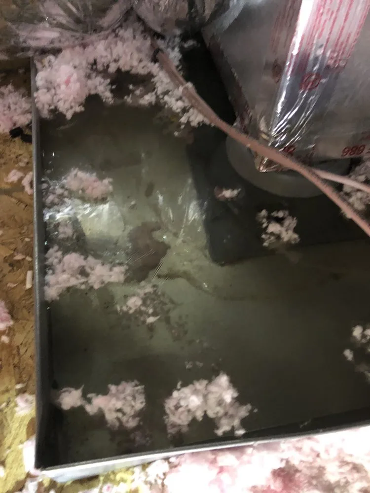 Slide of Dacus Heating & Air