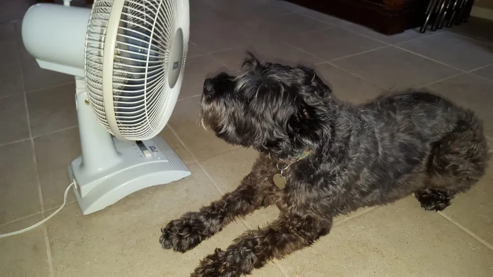 Slide of Dads Heating, Air Conditioning & Flood Restoration