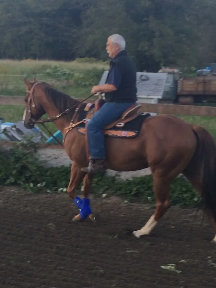 Slide of Dales Appliance Service