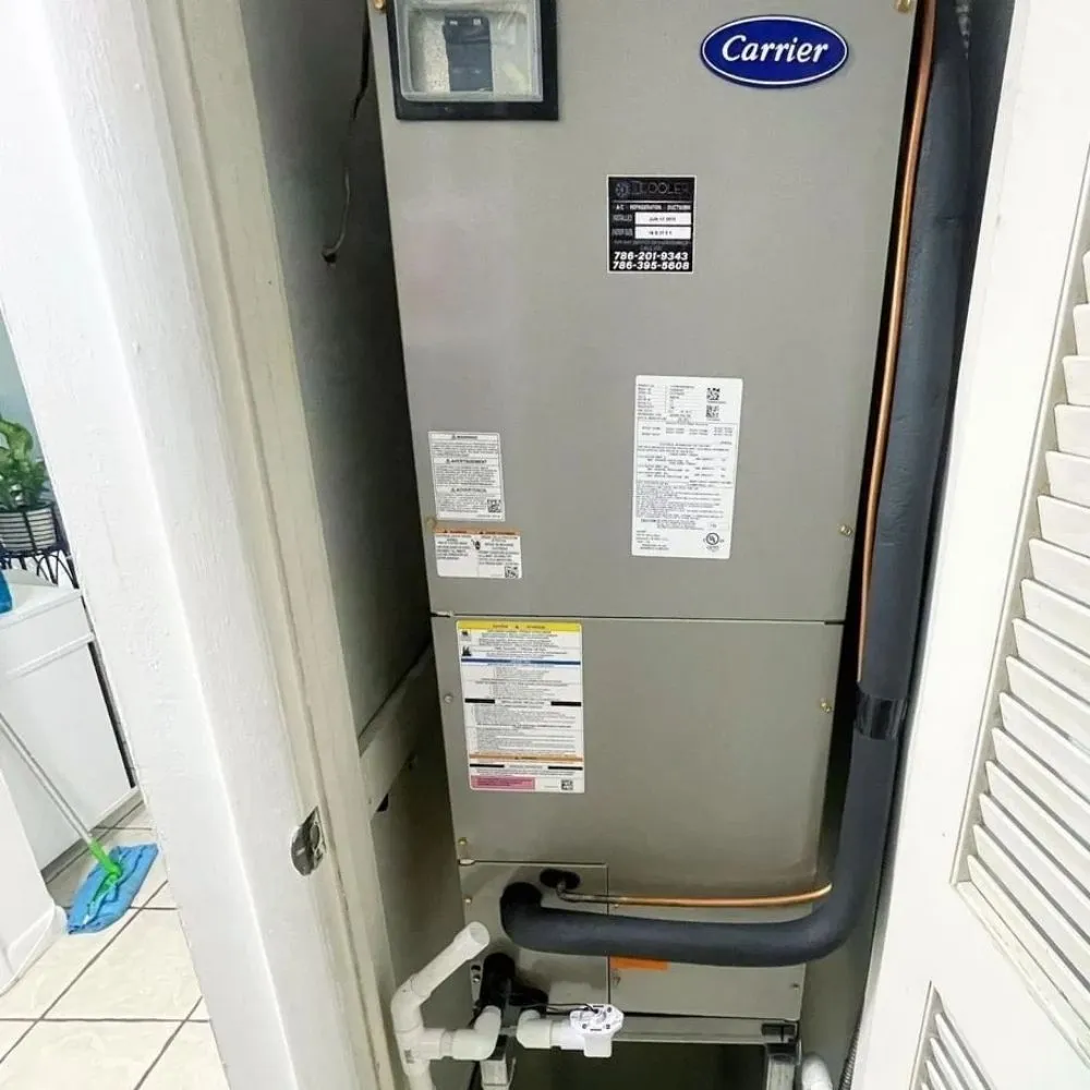 Slide of Damico Services