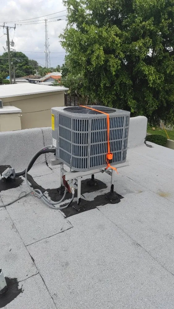 Slide of Damico Services