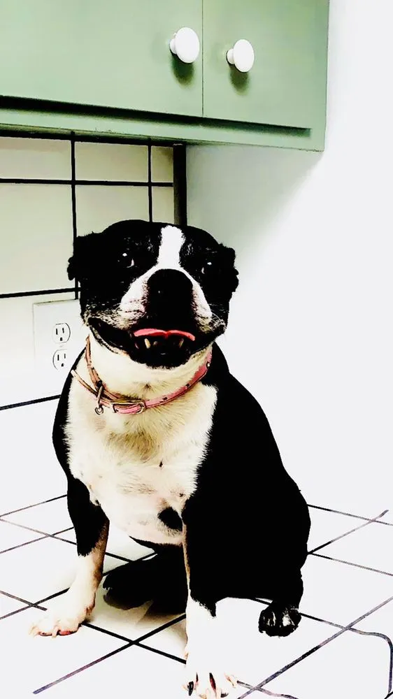 Slide of Dan Only HVAC