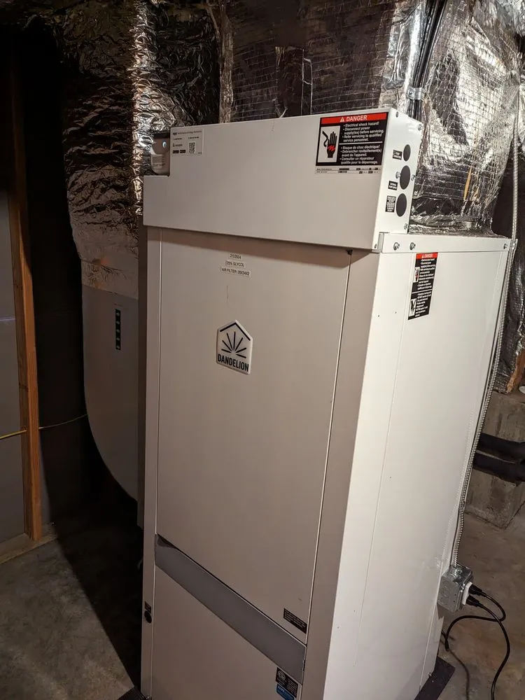 Slide of Dandelion Energy