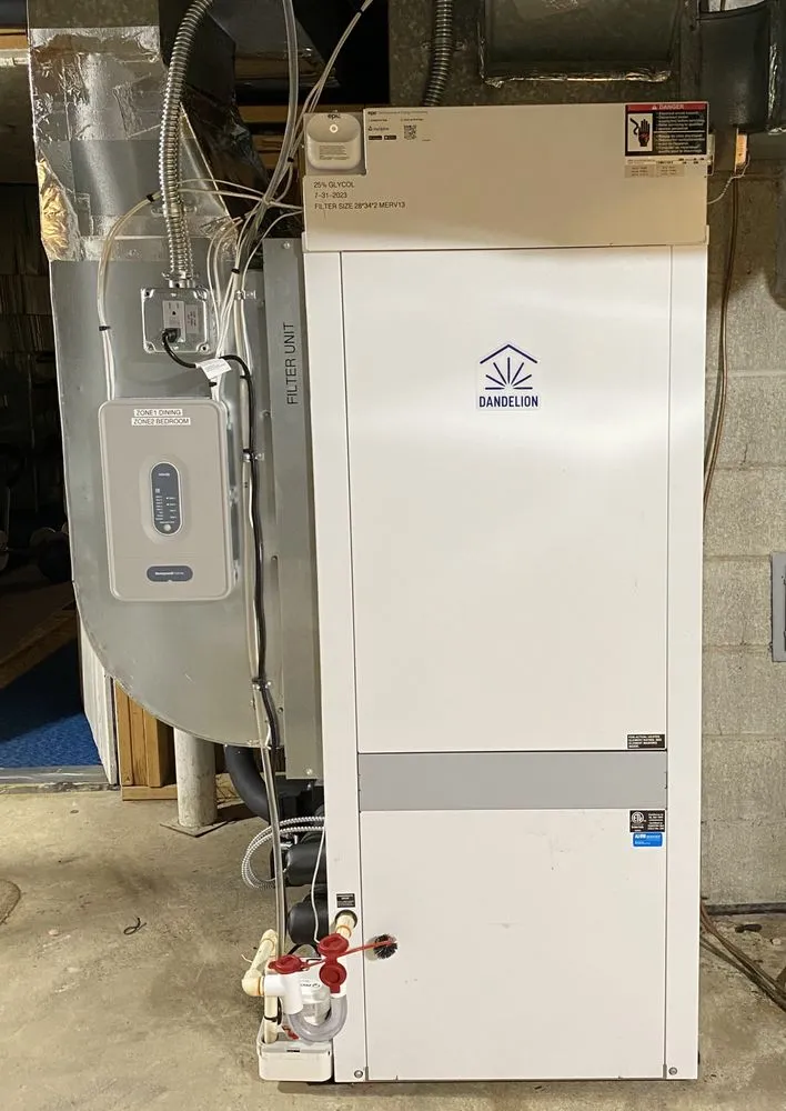 Slide of Dandelion Energy