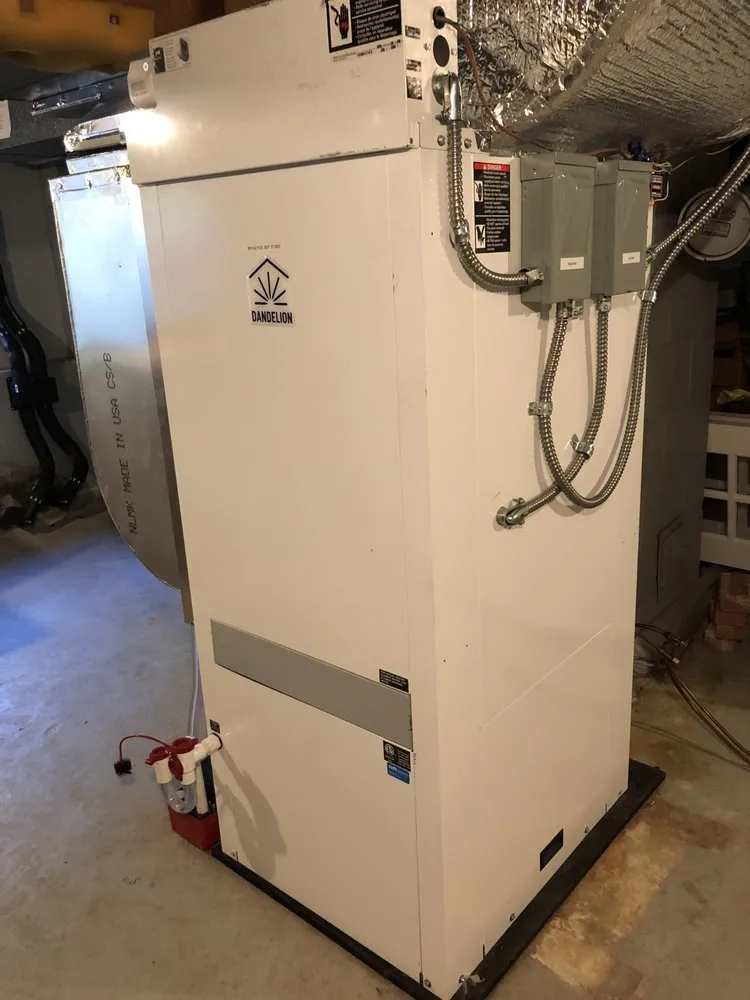 Slide of Dandelion Energy