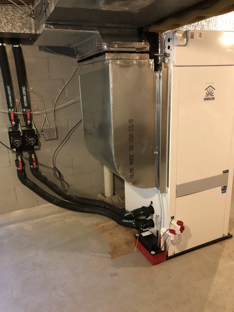 Slide of Dandelion Energy