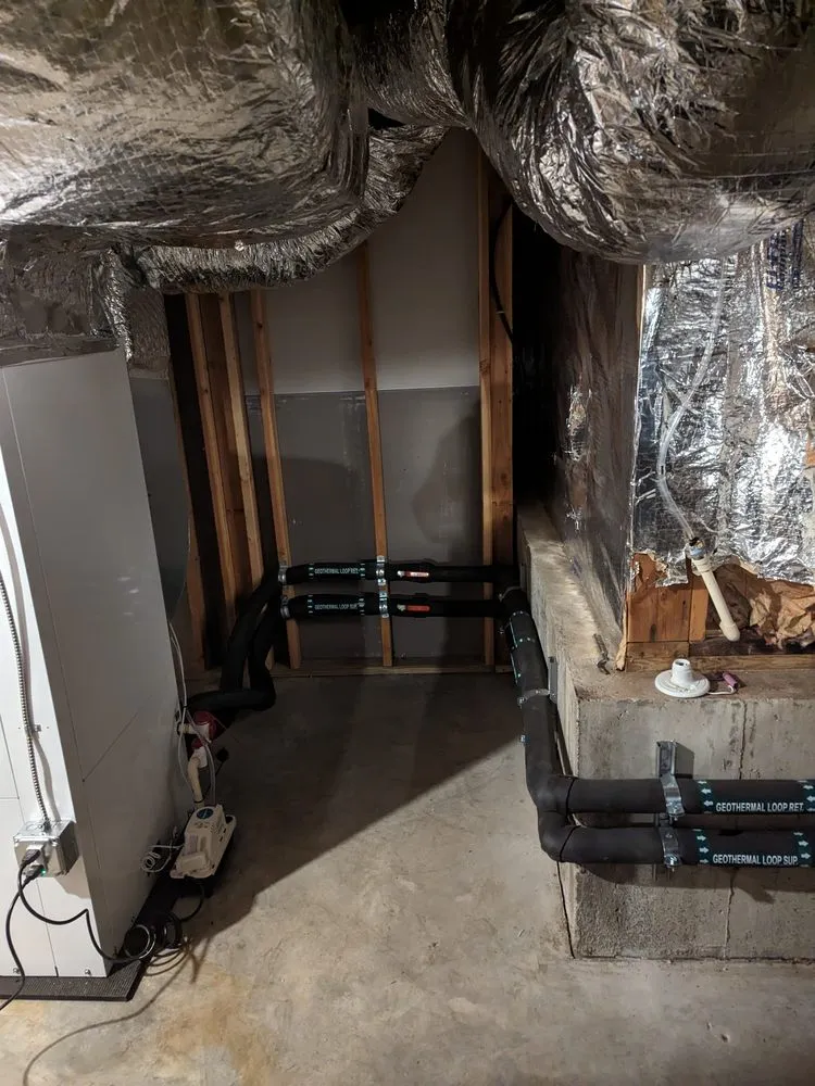 Slide of Dandelion Energy