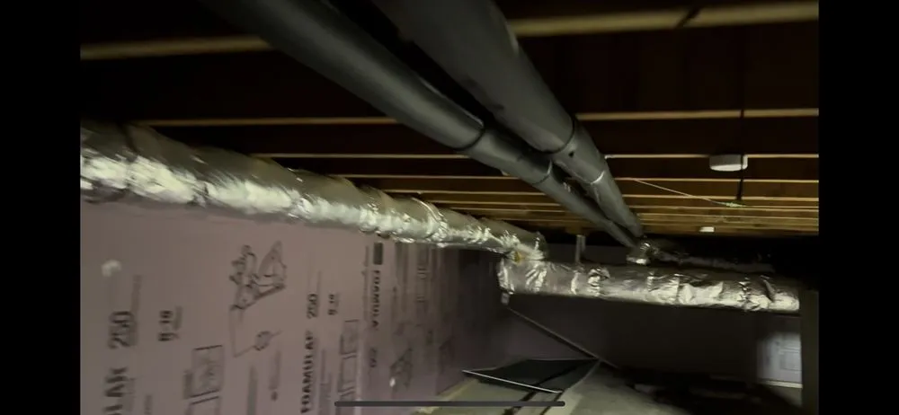 Slide of Dandelion Energy