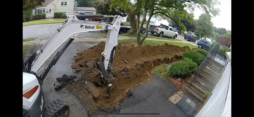 Slide of Dandelion Energy